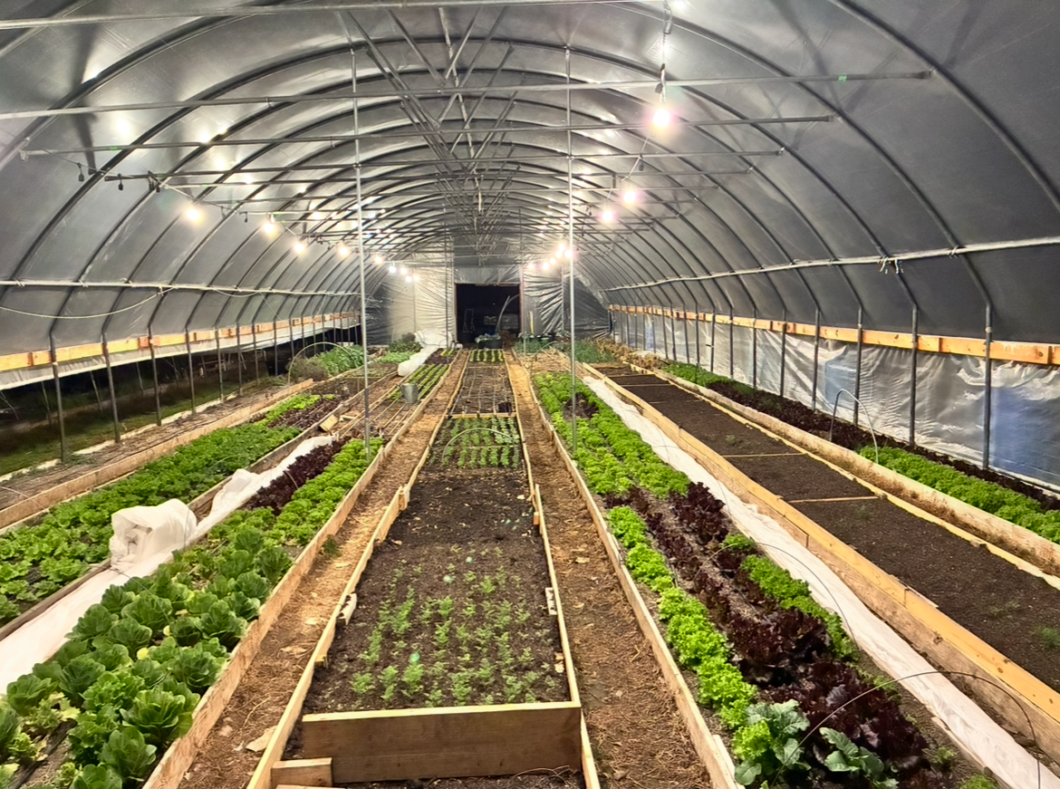 Dallas Half Acre Farm